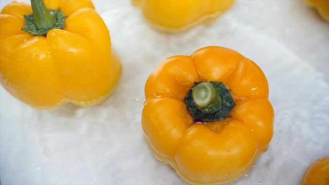 Slow motion shot of yellow capsicum / vegetable falling in water. 