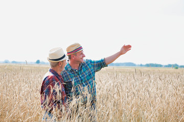 Naklejka na ściany i meble Mature farmer showing field to senior farmer in field