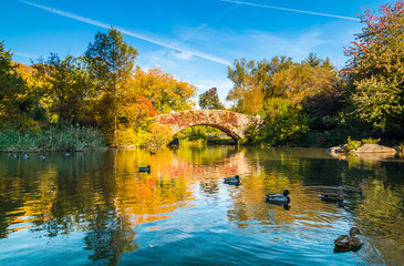 Central Park pond with bridge in autumn