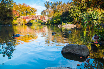Central Park pond with bridge in autumn colors
