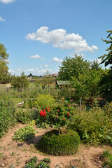 Naklejka premium sommerliche gartenlandschaft