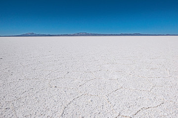  Isla Incahuasi at the Salar de Uyuni