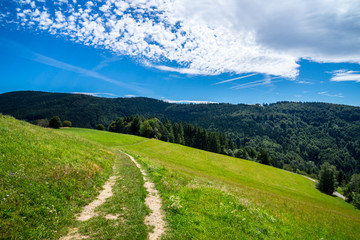 Fototapeta na wymiar Germany, Breathtaking beautiful natural german nature landscape hiking trail on top of black forest mountain near schauinsland and st ulrich on hot summer day with blue sky
