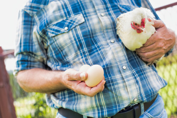 Closee up of senior farmer holding hen and egg in field