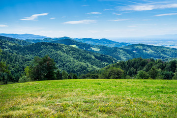 Fototapeta na wymiar Germany, Spectacular endless clear view over tree tops of fir and conifer trees in hilly black forest nature landscape near freiburg im breisgau on top of a mountain at st ulrich