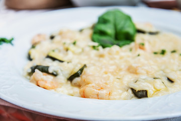 Tasty risotto with Shrimp, fresh herbs vegetables on a white plate