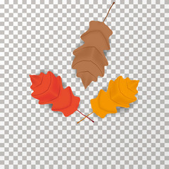 Autumn leafs on the transparent background Vector