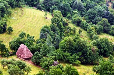 old house in the Apuseni mountains