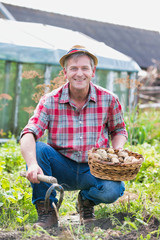 Happy farmer carrying newly harvest potatoes in basket at farm