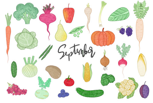 Illustration set vegetables