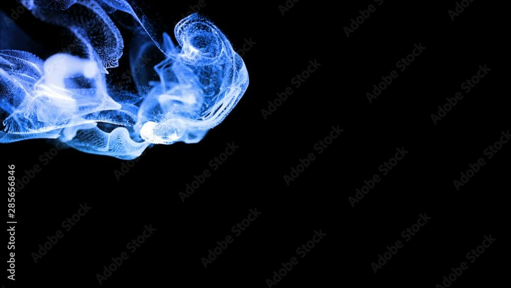 Aufkleber 3d ink effect of advection, luminous blue particles float in liquid. glow particles move in a stream