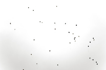 Black and white photo of helium balloons flying in the gray sky on holiday.