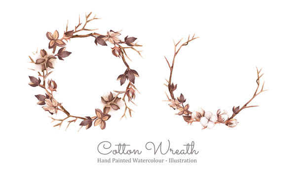 Cotton wreath. Arrangement of cotton boll, pod, shell, and Twig. Hand painted watercolour. Vector illustration