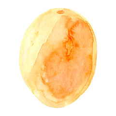 Watercolor melon fruit. Hand drawn summer illustration. Design for fabric, packaging, textile, cover, postcard