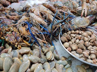 fresh fish at the market