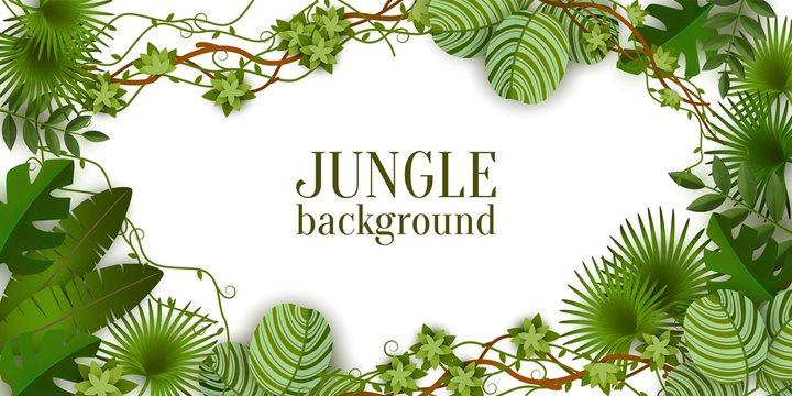 Tropical jungle exotic lianas vine and palm leaves vector illustration isolated.