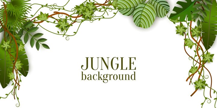 Green jungle plants background hanging from above, tropical exotic palm leaves and liana branches
