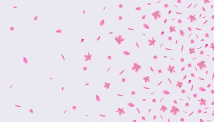 Fototapeta na wymiar Pink sakura flower petals floating in the wind - abstract background