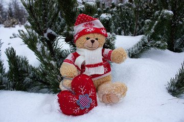 Cute brow teddy bear on white snow brackground
