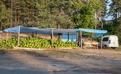 Fototapeta na wymiar watermelons and melons in a spontaneous market