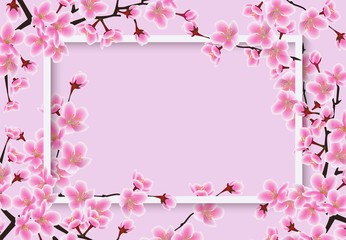 Horizontal sakura or cherry tree with blossom flowers banner vector illustration.
