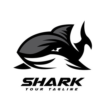 front view simple shark logo design inspiration