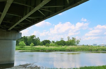 風景　春　橋げた　思川　杤木