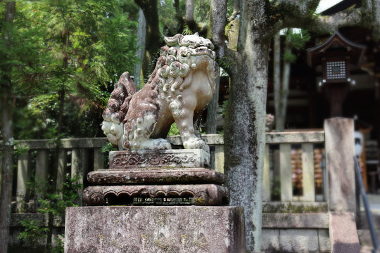 Black and white photo ,Shisa or Shishi ,Imperial guardian lions image in Japan,The male lion's jaw image for .becky fortune came at Higashi Tenno Okazaki Shrine ,Kyoto,Japan.