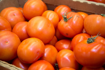 Ripe tomatoes at the market