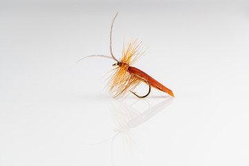 Brown caddis Dry Fly Fishing fly against a white background with copy space