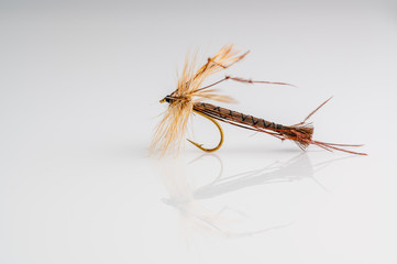Crane Fly or Daddy Long Legs extended body Dry Fly Fishing fly against a white background with copy space