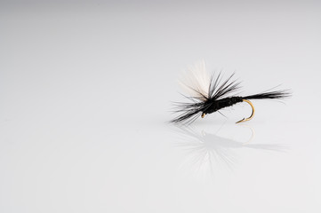 Traditional Black Gnat Parachute  Dry Fly Fishing fly against a white background with copy space