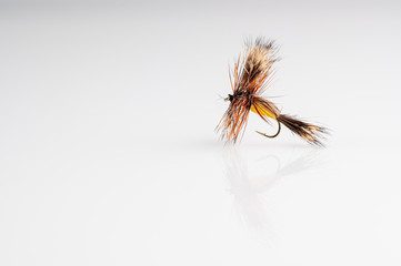 Traditional Yellow Humpy Dry Fly Fishing fly against a white background with copy space