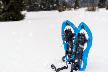 Blue snowshoes in fresh show