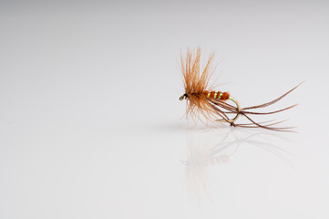 Traditional Brown Hopper Dry Fly Fishing fly against a white background with copy space