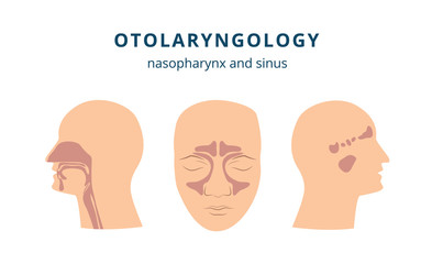 Otolaryngology - ear, nose and throat health icon set with human head in profile and front view