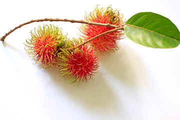 Fresh rambutan on a white background.