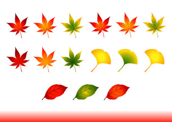 もみじやイチョウ 秋の紅葉いろいろ  Ginkgo and Momiji leaves