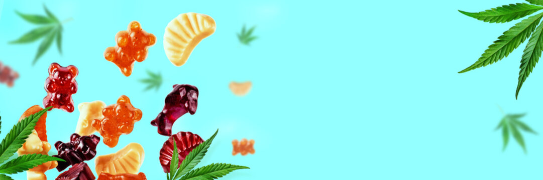 Colored gummies fly along with cannabis leaves. Chewing candies, gummies with CBD oil and THC. Colorful creative background, minimalism. Banner