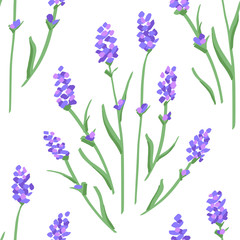 Obraz na płótnie Canvas Beautiful Lavender Flower Pattern. Seamless Background. Vector.