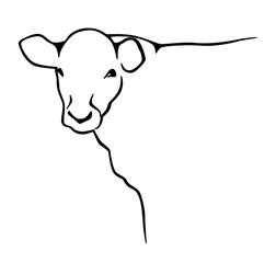 Cow silhouette outline sketch. Black and white. Vector illustration.