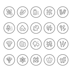 Set round line icons of seasoning