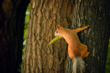 Squirrel is eating. Little squirrel in the forest. Photohunting Rest in the woods.