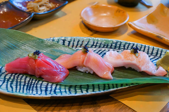 Fresh sliced raw tuna or otoro, chutoro and akami sushi sashimi served with pickled wasabi. Japanese traditional food. Selective focus.