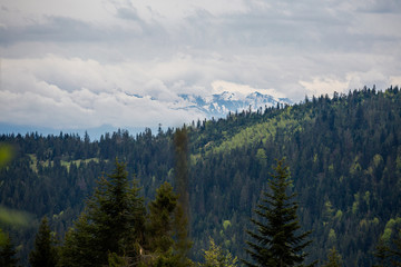 Beautiful foggy Gorce mountains landscape