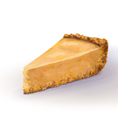 Vector base piece of pumpkin cheesecake cake with tender, delicate creamy-curd cheese. Crisp and crumbly cake with back, appetizing, realistic, homemade cakes, hand drawn. Tasty, healthy, delicious