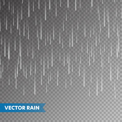 Realistic rain texture on transparent background. Rainfall, water drops effect. Autumn wet rainy day. Vector illustration.