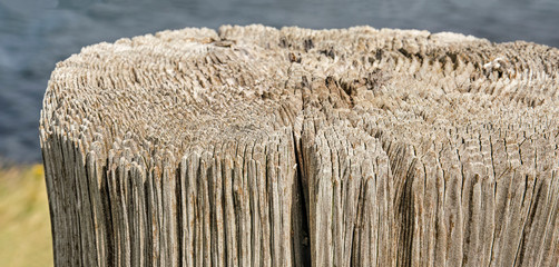 Weathered and irregular top end of a wooden pole by the waterside