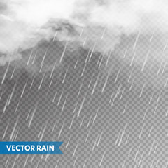 Realistic rain with clouds on transparent background. Rainfall, water drops effect. Autumn wet rainy day. Vector illustration.