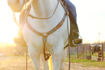 Horseback riding shows cowboy boots in stirrups with horse in tack during sunset, close-up of...